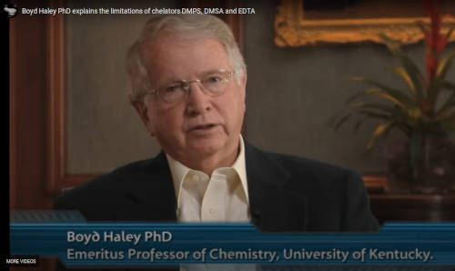 Dr Boyd Haley PhD Mercury detox process