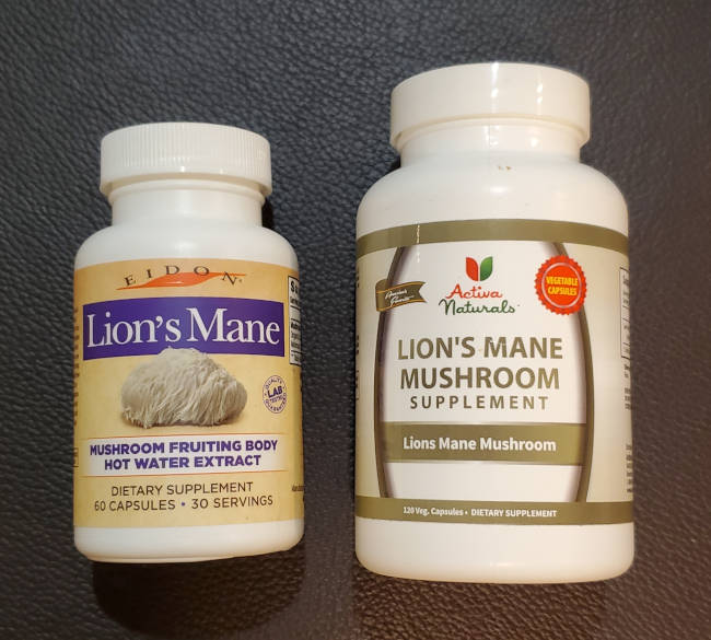 Lion's Mane mushroom supplements